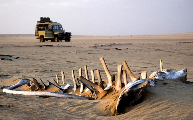Most Dangerous Places On Earth - Skeleton Coast | Digitalvaluefeed